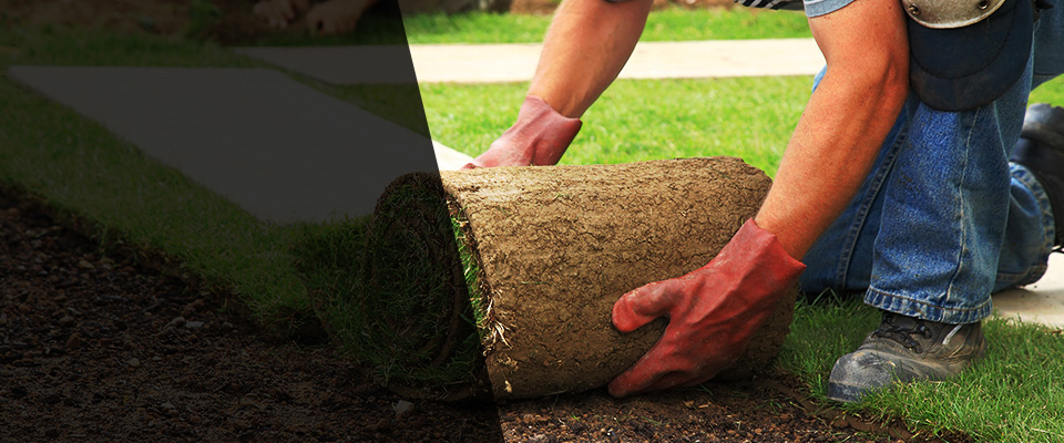 North Liberty Landscapers